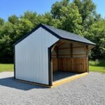 Shed pic 1