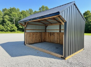 Shed pic 1